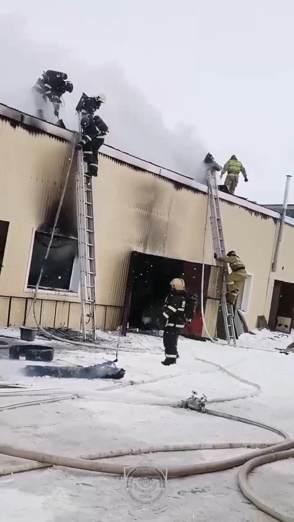 сто2.jpg сто2.jpg