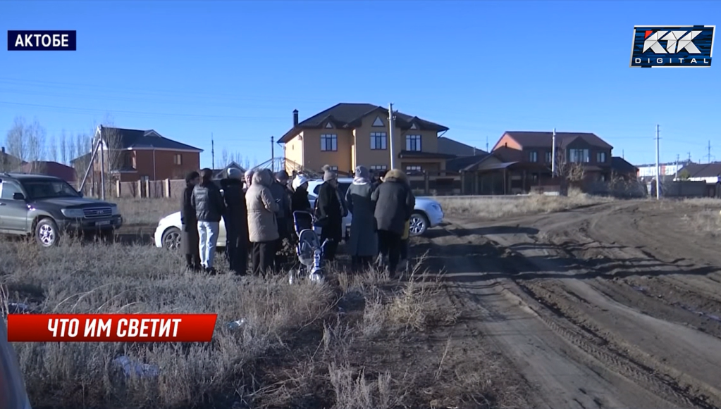 береке.png береке.png