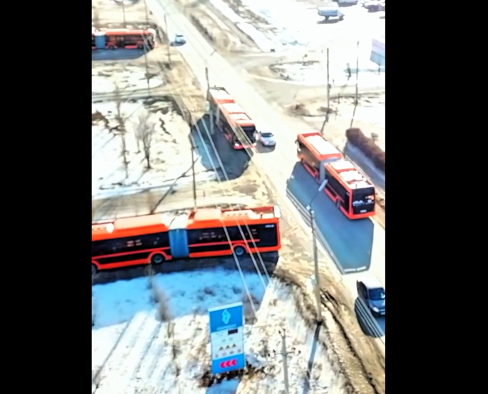 автобусы.png автобусы.png