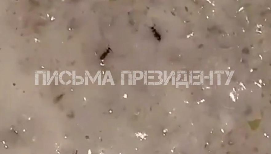 каша.jpg каша.jpg