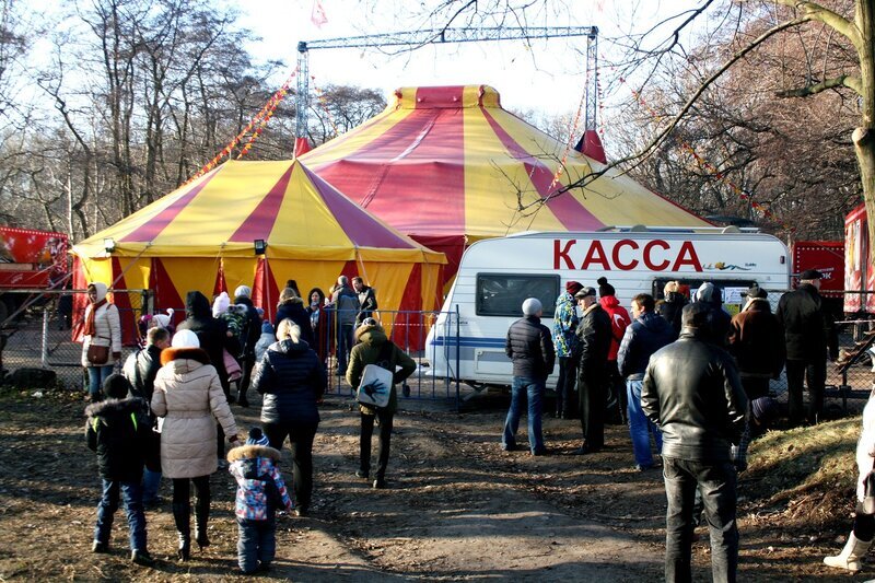 цирк.jpg цирк.jpg