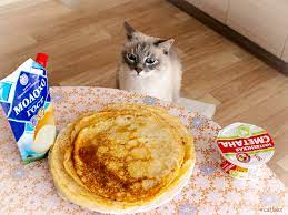 лакомка.jpg лакомка.jpg